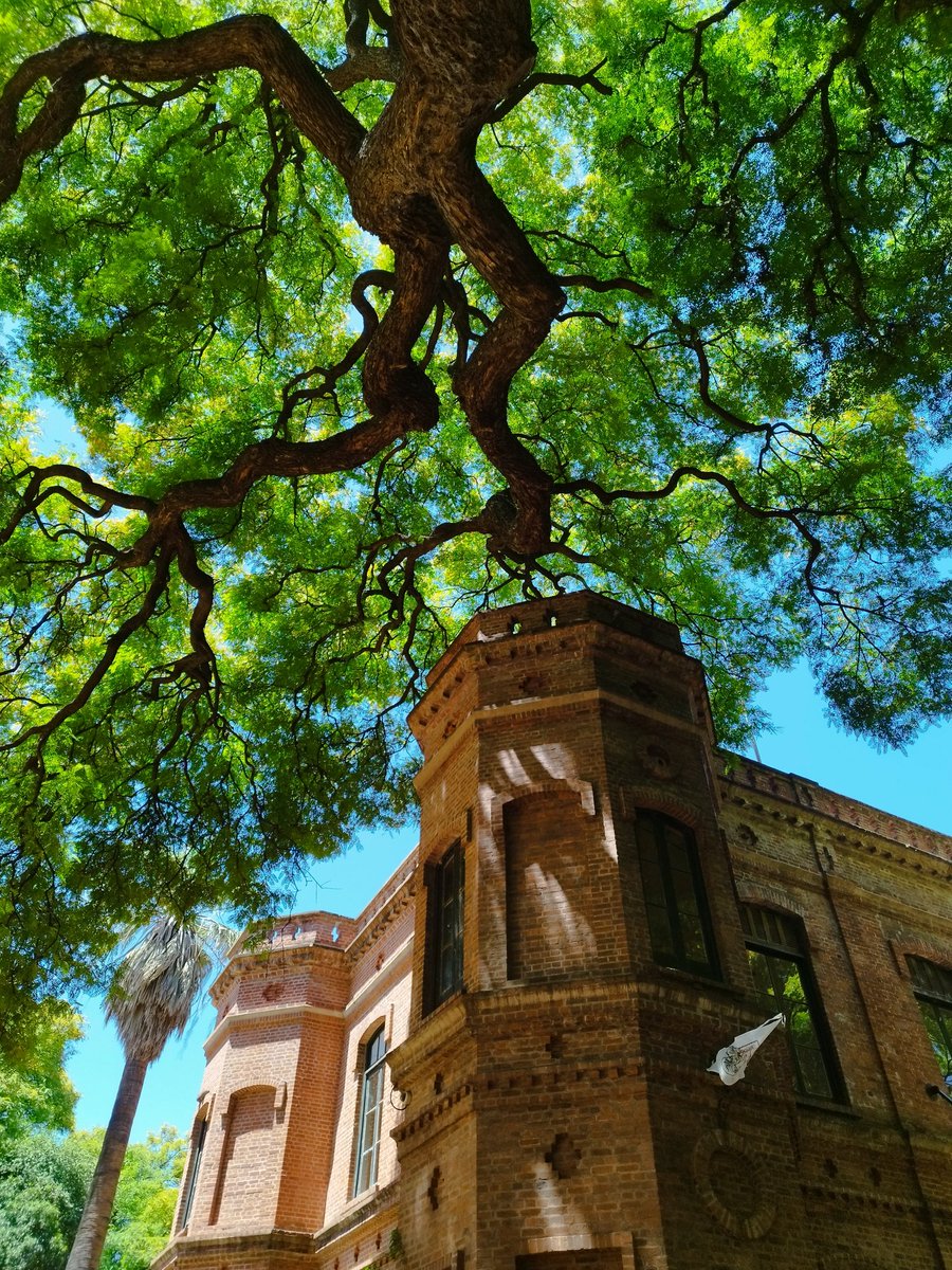 Emma O´Brien (@emma_obrien_e) on Twitter photo 