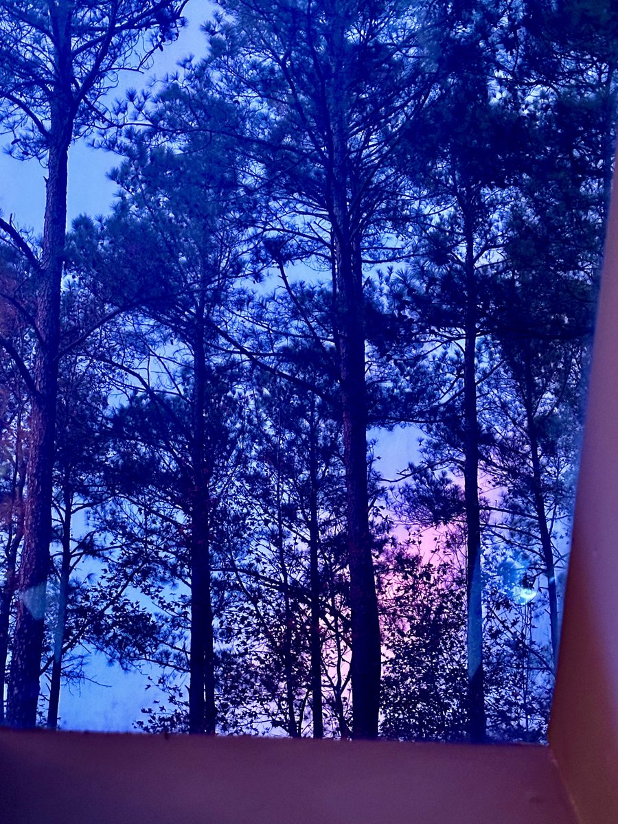 Saturday evening … home office skylight view.