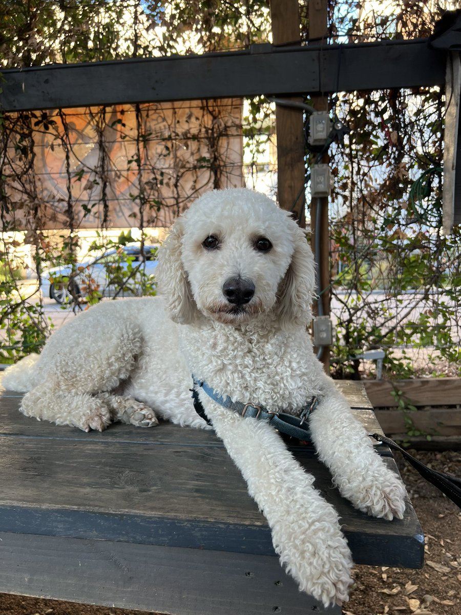 Yo dog, heard you’re up for a beer…