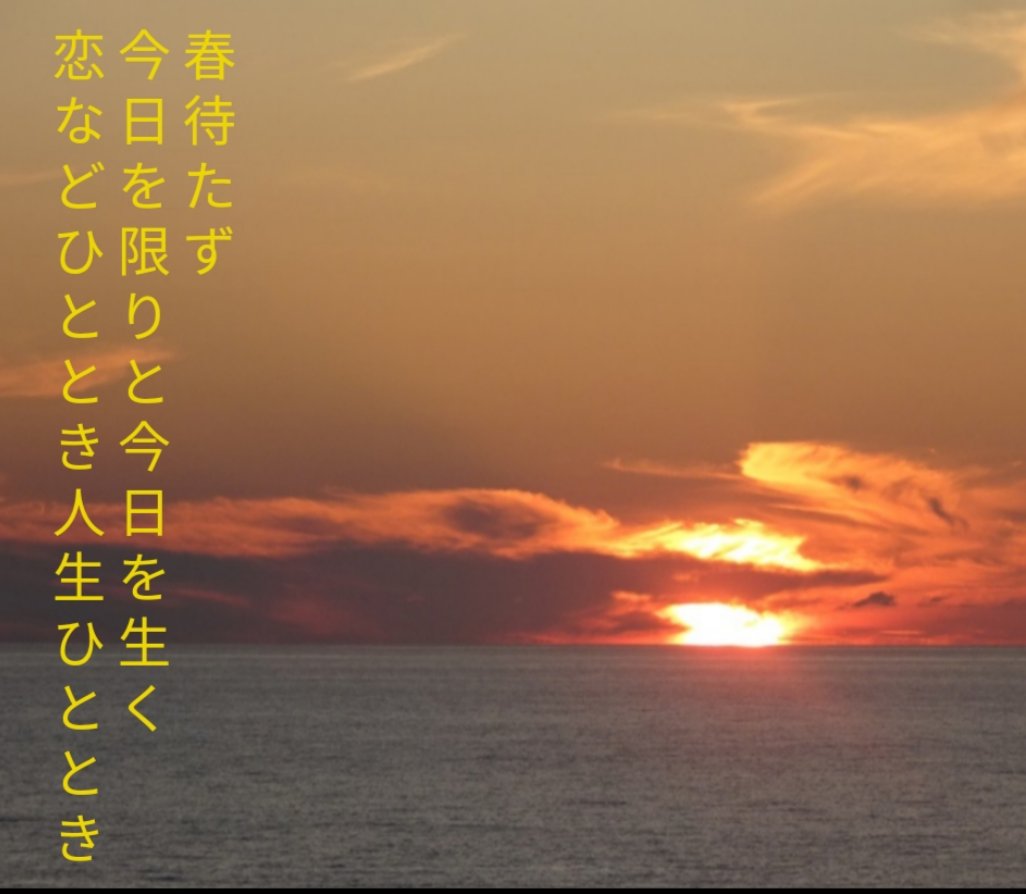 〈晩秋五首④〉
春待たず今日を限りと今日を生く恋などひととき人生ひととき
#Tanka #短歌