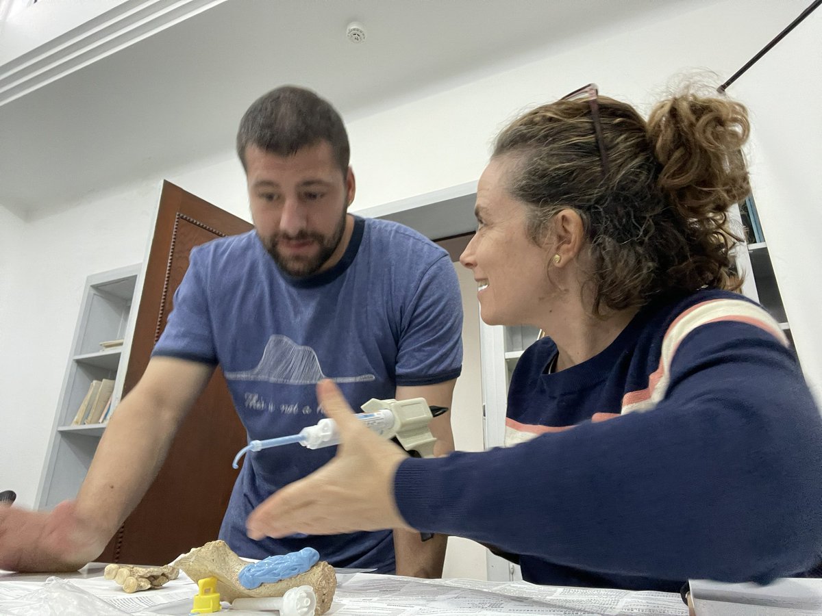 Laura M Martínez (@lauranthropus) on Twitter photo <a href="/ivrmpdrz/">Iván Ramírez Pedraza</a> Grotte des Littorines and Thomas Quarry dental remains moulded. We are very grateful to all the curators and the Casablanca Team, for all their help and kindness. 🐒🦷 <a href="/ivrmpdrz/">Iván Ramírez Pedraza</a> Grotte des Littorines and Thomas Quarry dental remains moulded. We are very grateful to all the curators and the Casablanca Team, for all their help and kindness. 🐒🦷