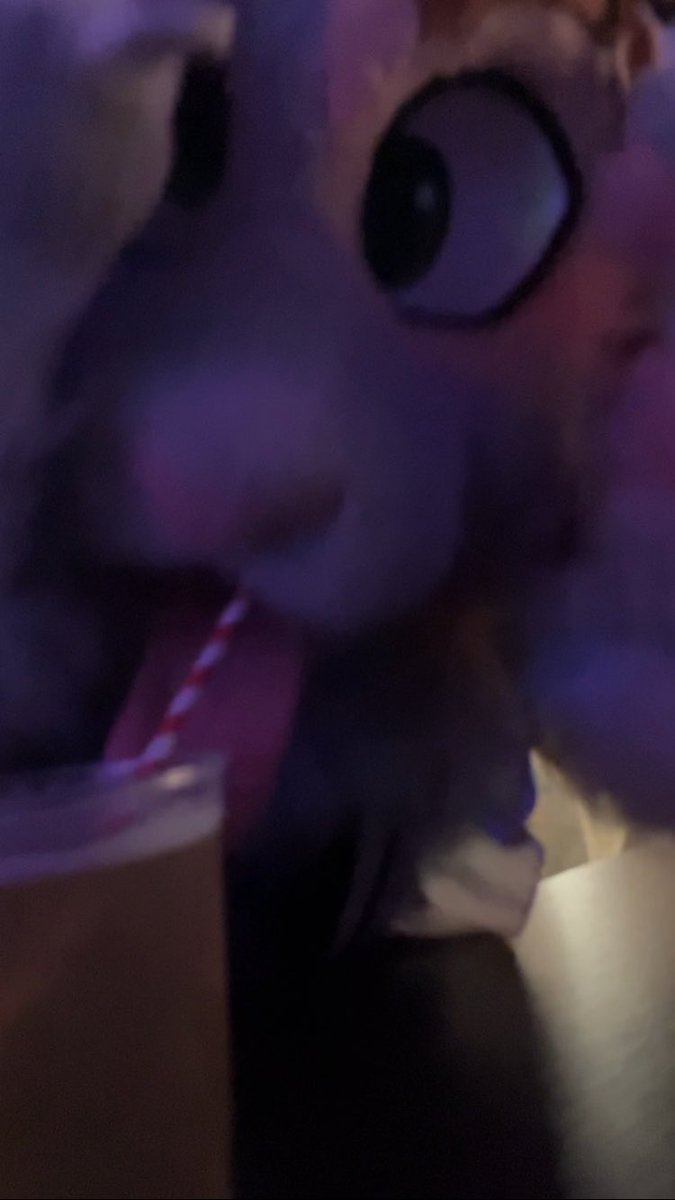 KaitanFox tweet media