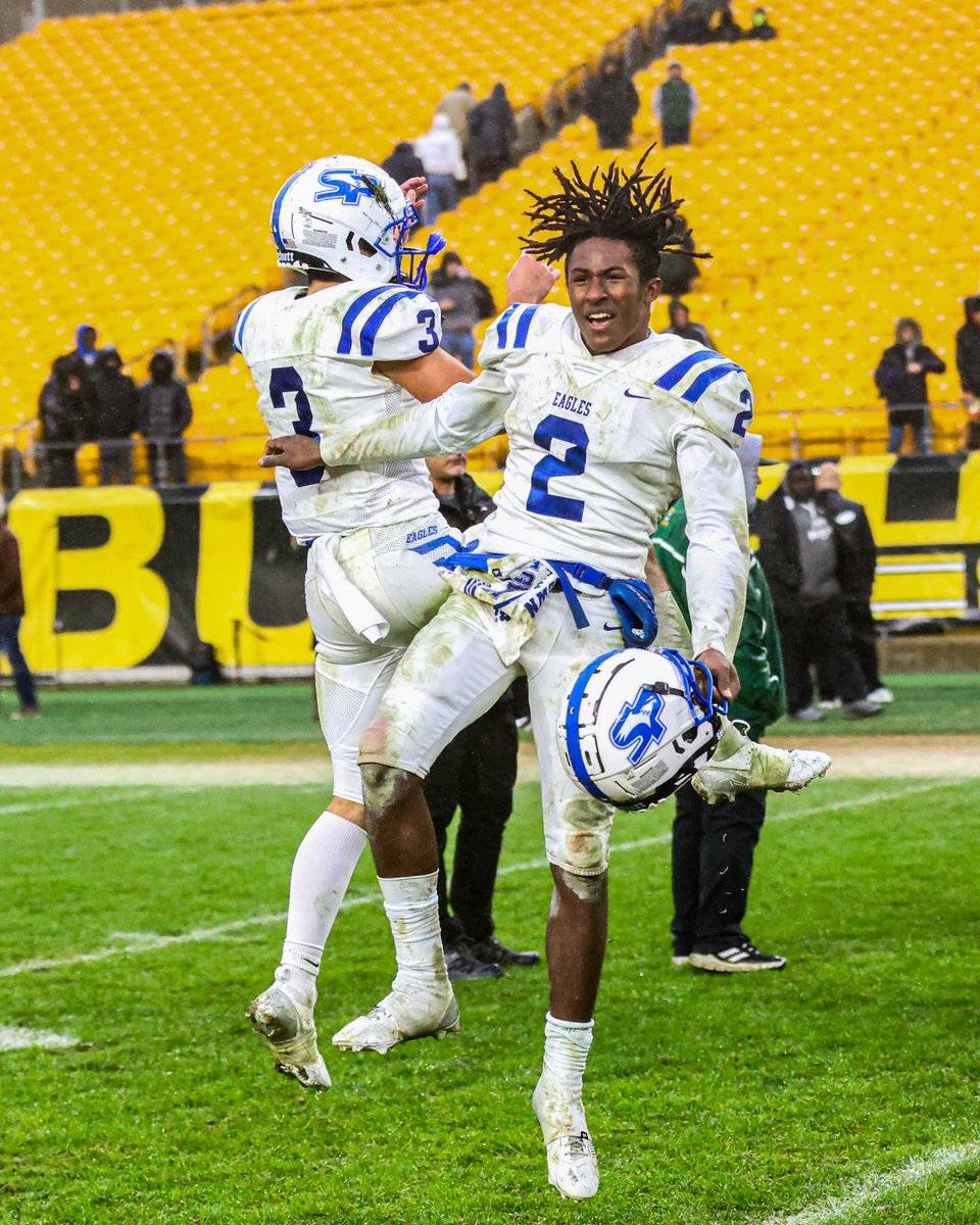 Next Level Creative tweet media