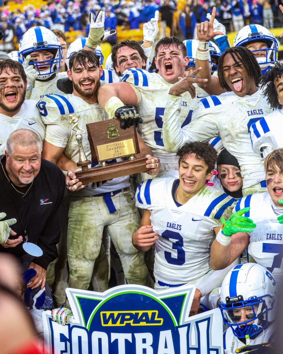 Next Level Creative tweet media