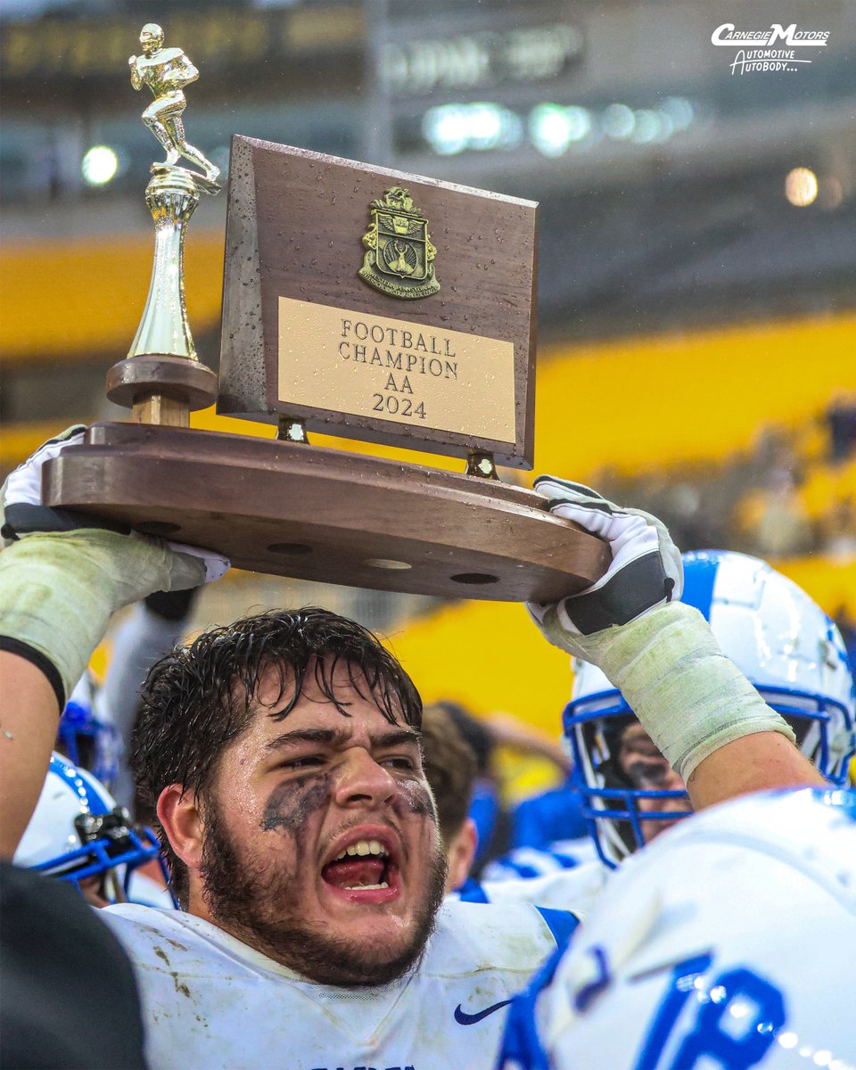 Next Level Creative tweet media