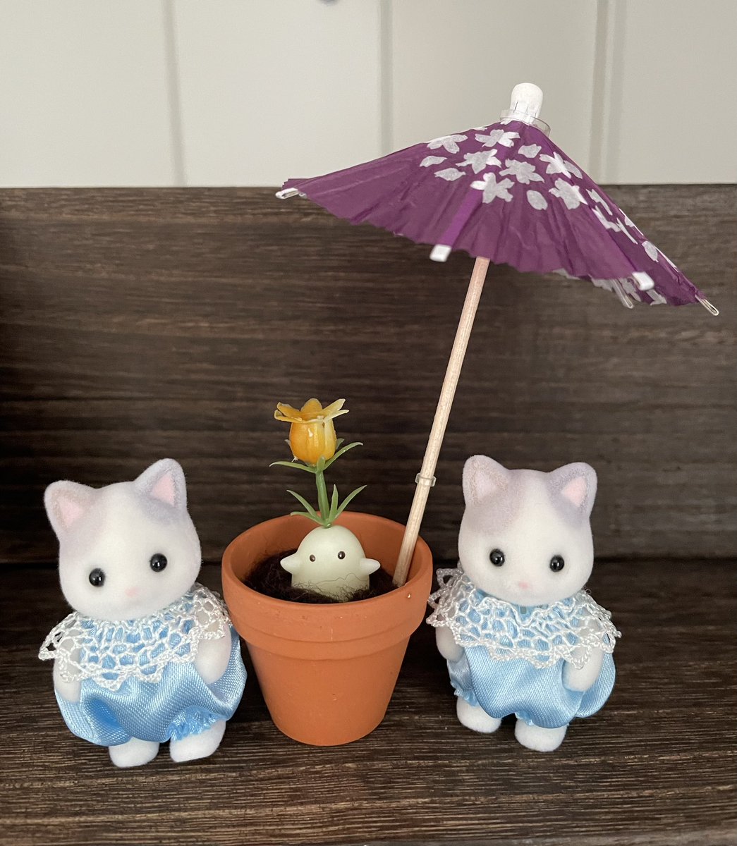 sofmori1's tweet image. マンドレイクと双子ちゃん🩷