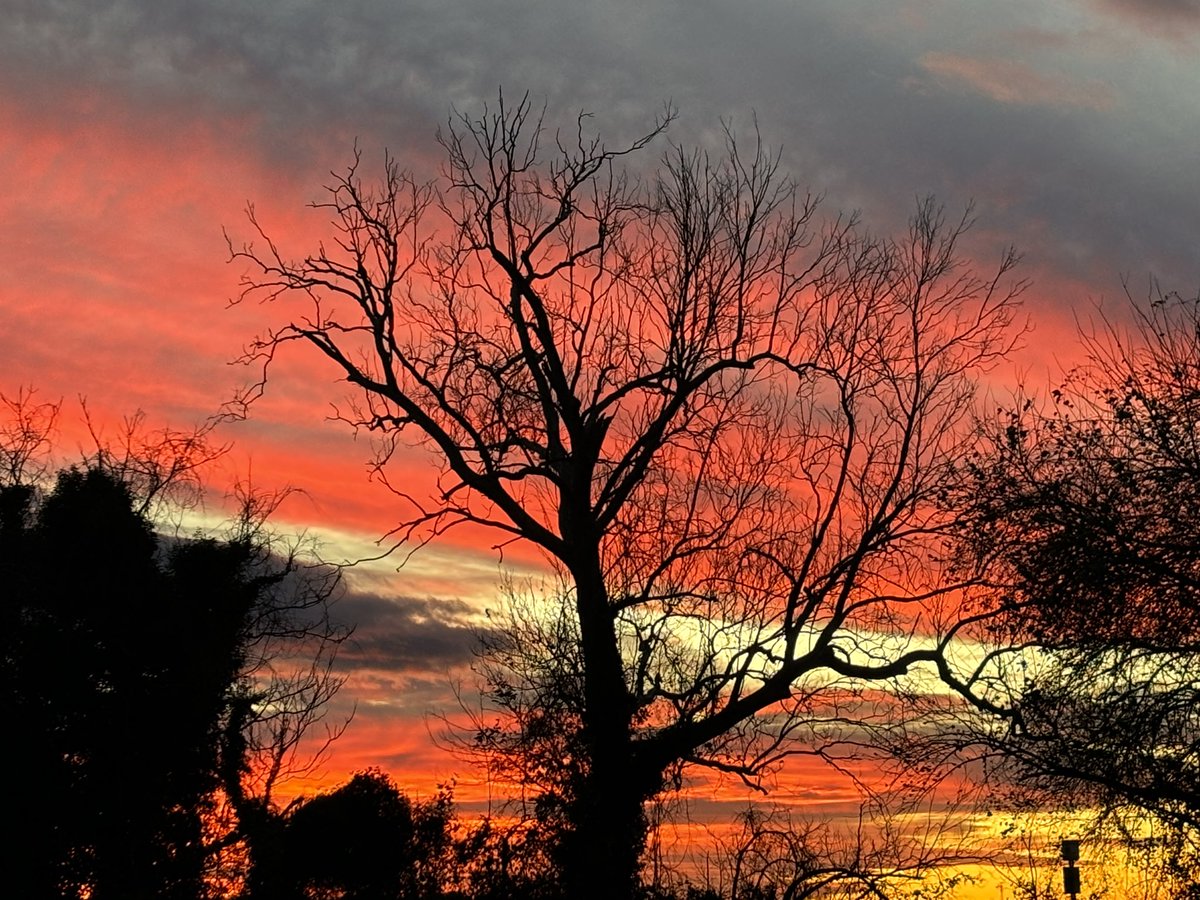 KHiggins_PI's tweet photo. Gorgeous! πβ€οΈπ§‘ #citypointva #hopewellva #sunset #sunsetphotography @VisitVirginia @Hopewell_VA https://t.co/31rDY6P4gV