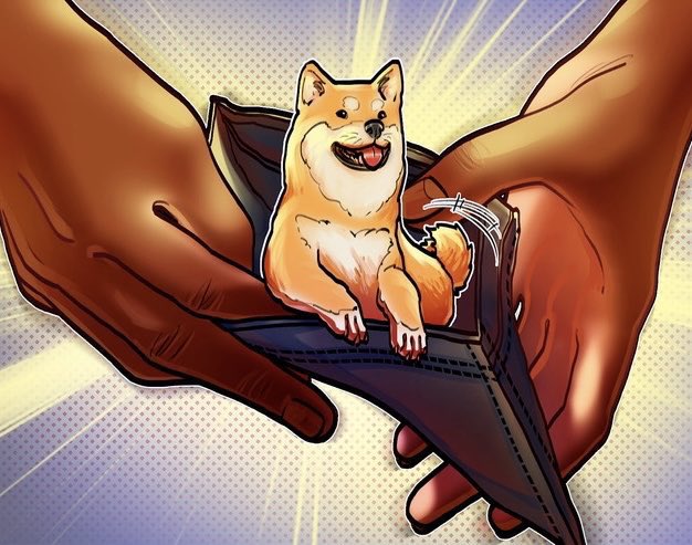 I love having DOGE in my wallet 🤑