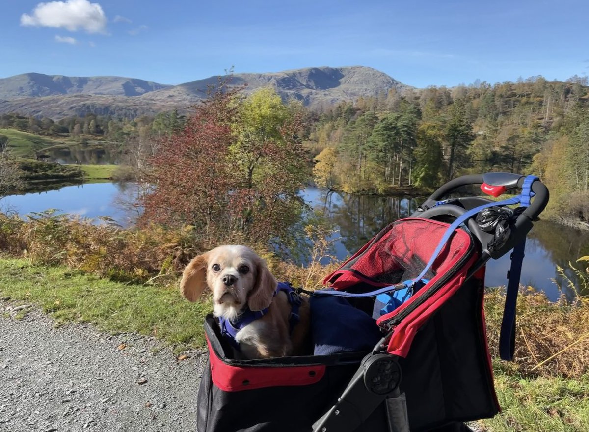 Patcuk01 tweet media