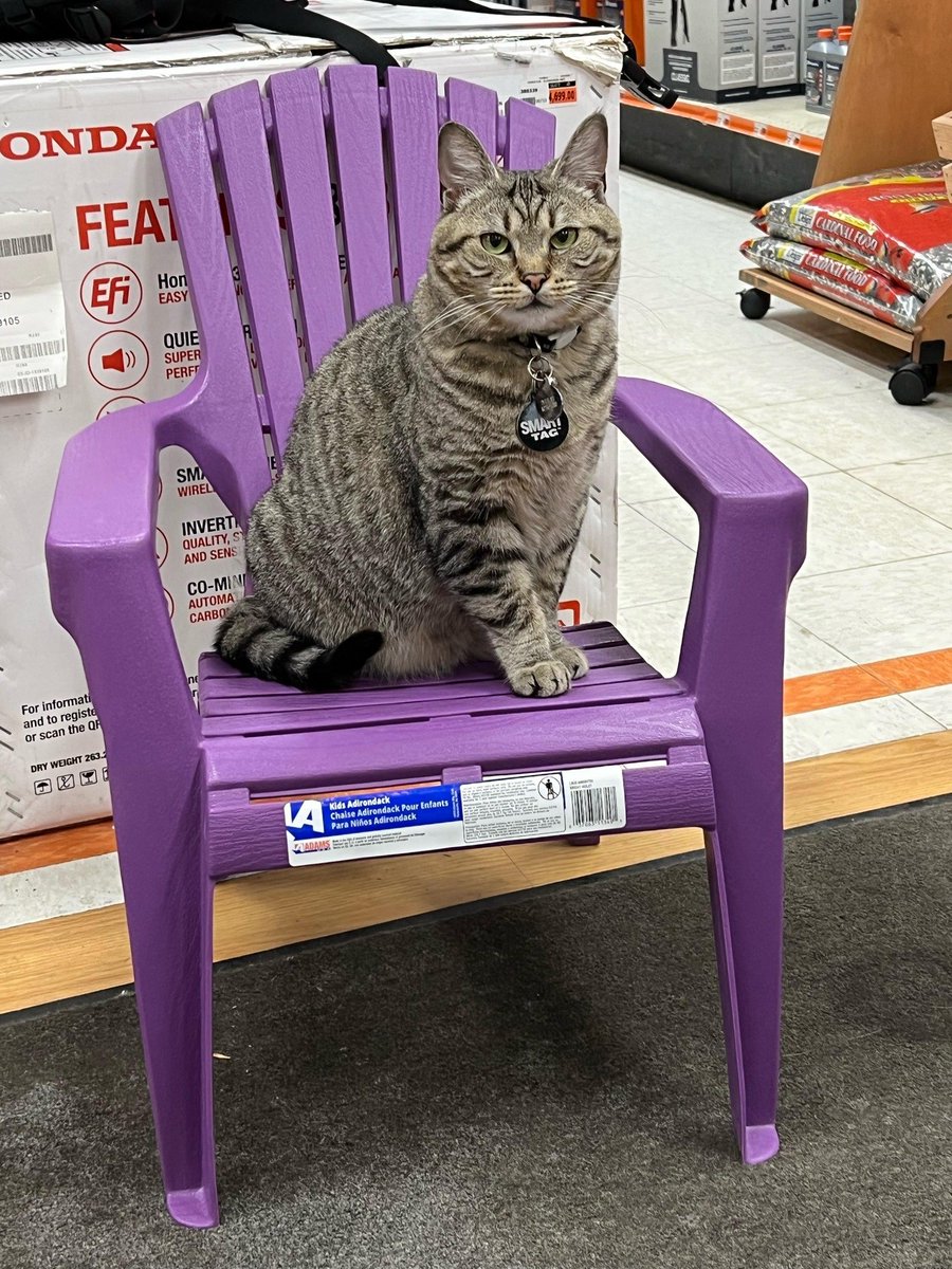 CatWorkers's tweet photo. https://t.co/CdLOnPuAhf