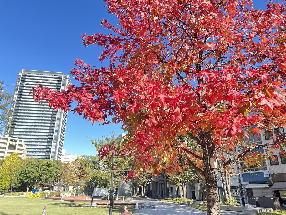 秋🍂短く⛄️になってしもうたよ
🥶寒いね🥶