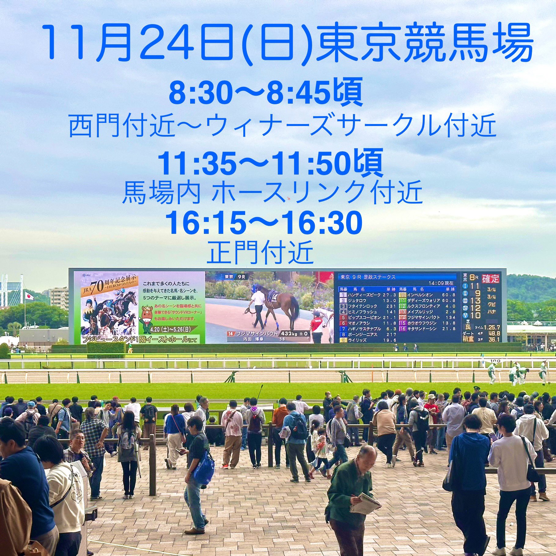 JRAターフサンダル黄&JRA70周年記念メモ帳東京競馬場ver （JRA