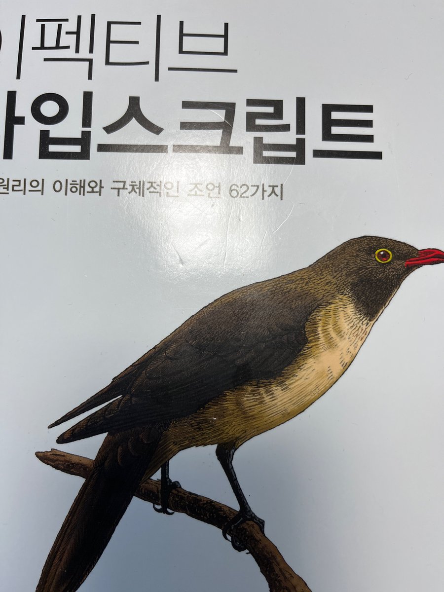 codingkowalski's tweet image. 외국인 친구가 이거보고 새🦅공부하냐고 함ㅋㅋㅋ