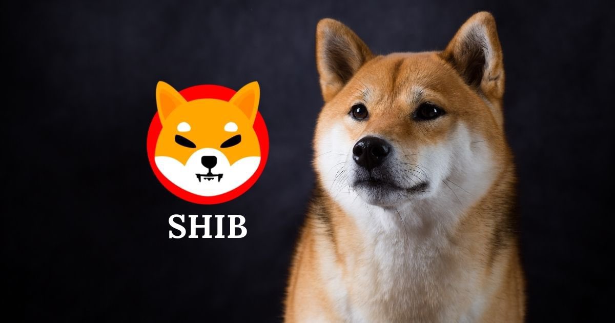 If $SHIB hits $0.001 by the end of 2024, I will give $2,000 worth of Shiba Inu to 10 people who likes this post &amp; are following me.