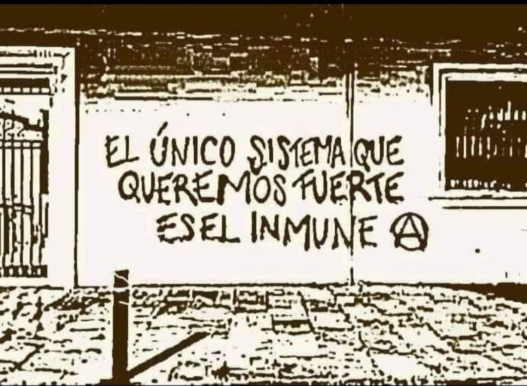 NikolayOCDC's tweet photo. El único sistema que queremos fuerte es el inmune Ⓐ https://t.co/fLsN9TUQeg