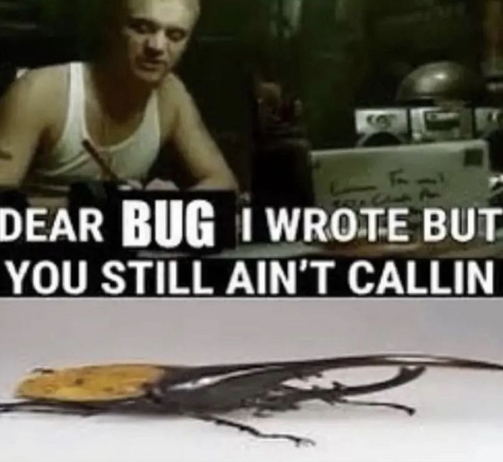 raisinchoirgirl's tweet image. 