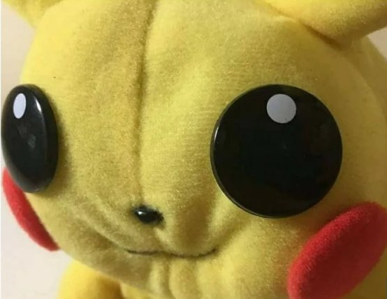 Xiroga_G's tweet photo. Imagínate encontrar este meme en la vida real, lo mejor es que salió baratito y es to mono y rechonchete #Pikachu https://t.co/Kq9zYg0Jkp