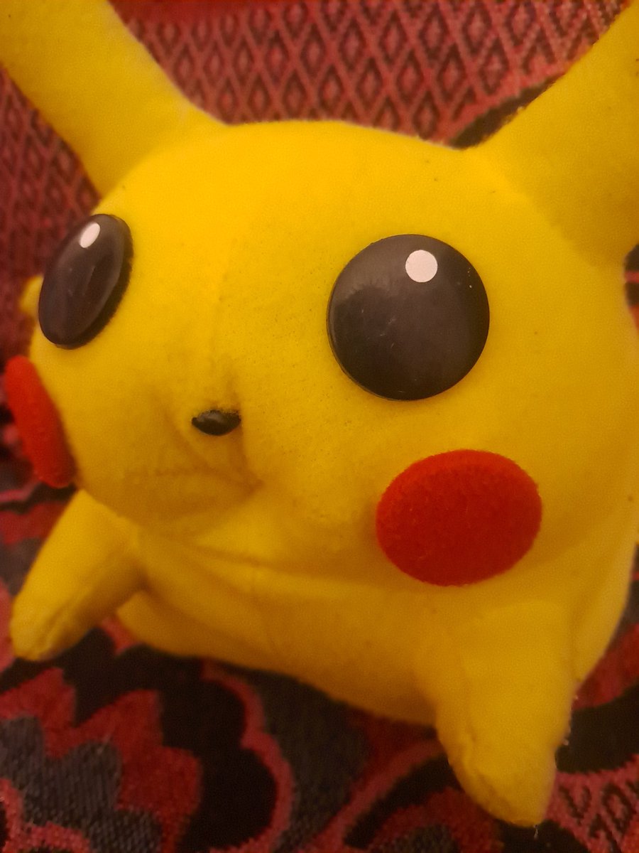 Xiroga_G's tweet photo. Imagínate encontrar este meme en la vida real, lo mejor es que salió baratito y es to mono y rechonchete #Pikachu https://t.co/Kq9zYg0Jkp
