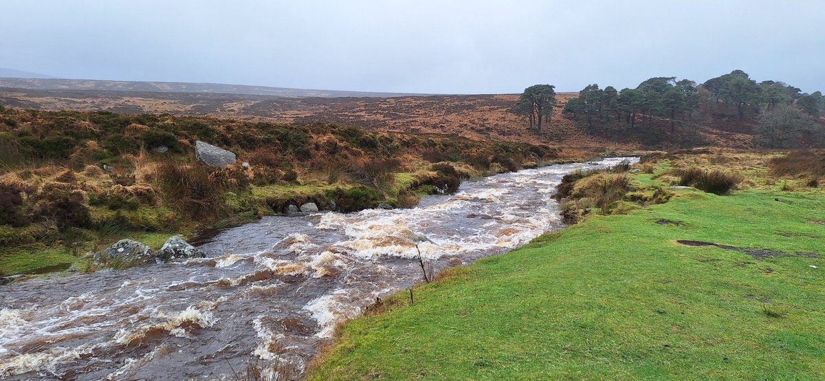 Blessington2022's tweet photo. After Storm Bert, Sally Gap Road, Co. Wicklow 23rd November 2024 #Kilbride #manorkilbride #countywicklow #Ireland  #Blessington #sallygap #wicklowmountains https://t.co/xShme3t92D