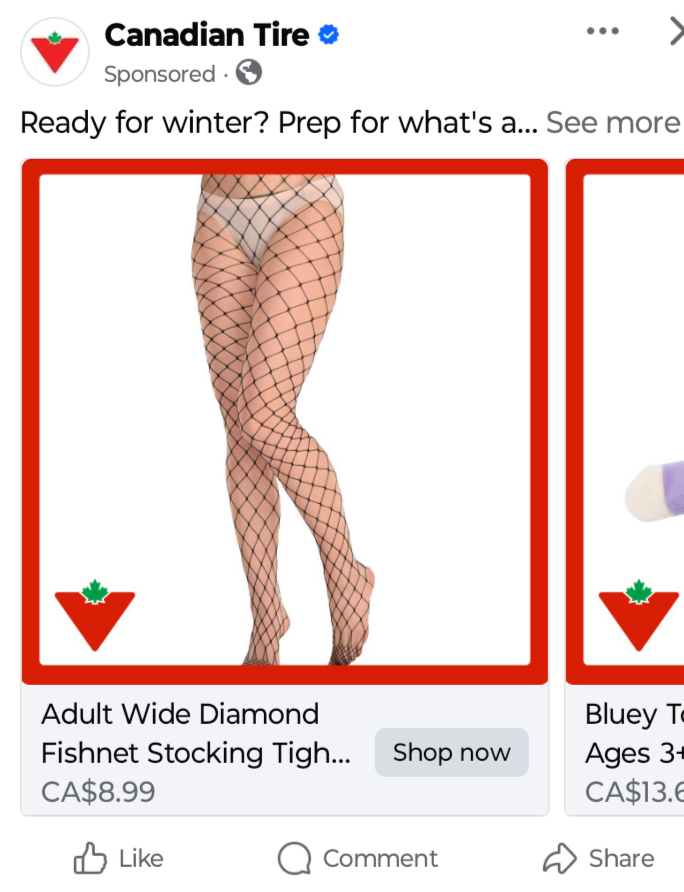 Tristin Hopper tweet media