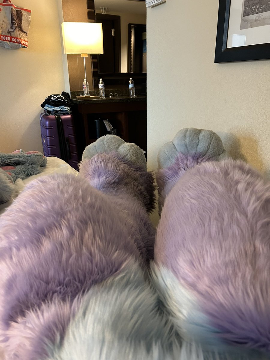 Pov you’re rabbit