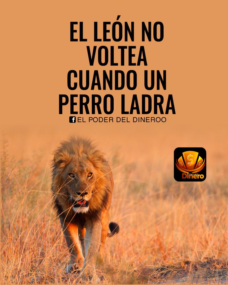 Gerardo A. Adaro 🇪🇸 🇧🇷 🇬🇧 🇮🇹 🇩🇪 🇫🇷 tweet media