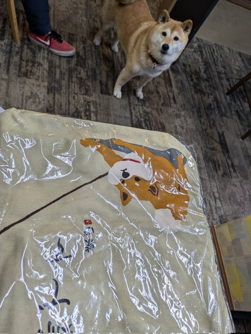 皆さまおはようございます🌞
本日もよろしくお願いいたします🙇 