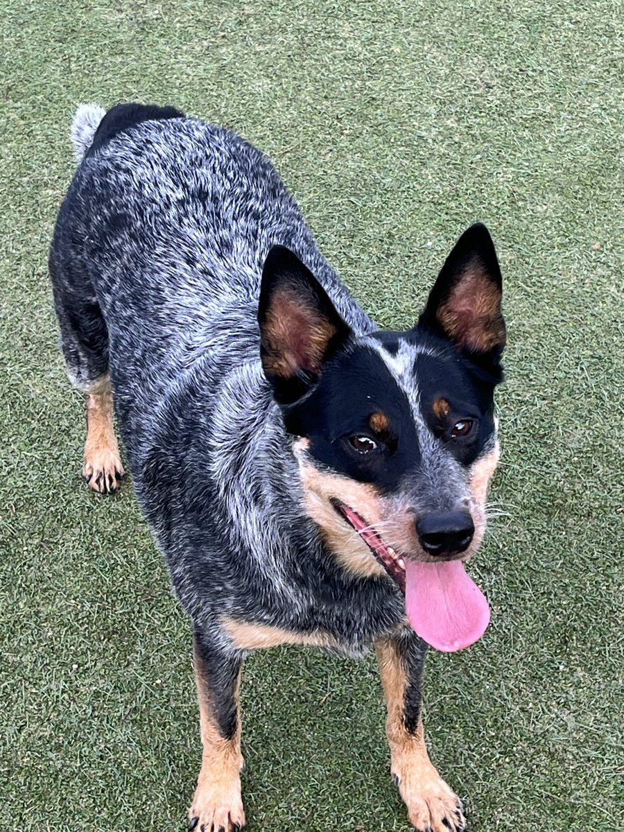 ⁦<a href="/KTJ1417/">KJ</a>⁩ 🥰