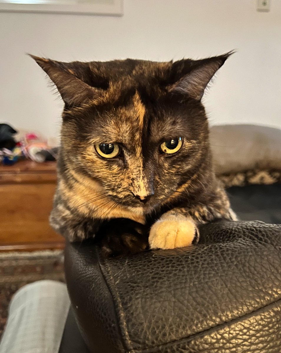 Dave Krantz tweet media