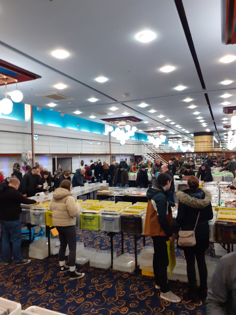 Premier Record Fairs North tweet media