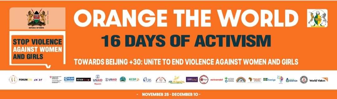 Are you ready for 16 days of activism?