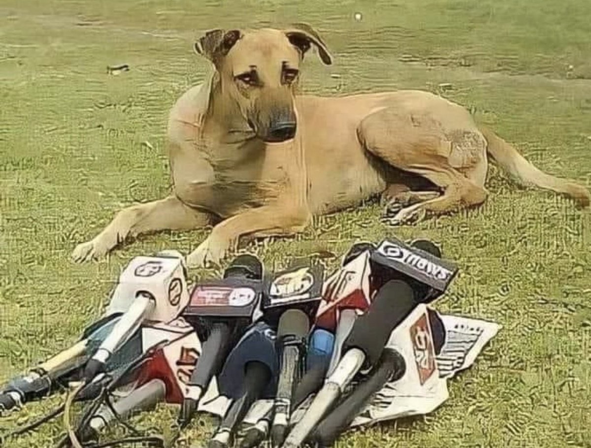 GollavilliSure2's tweet image. ఈ CM ఈ PM పదవలు అంటే బోర్ కొట్టింది ఇక నెక్స్ట్ అమెరికా అధ్యక్షుడిగా పోటీ చేద్దాం అనుకుంటున్నా... #Pawala