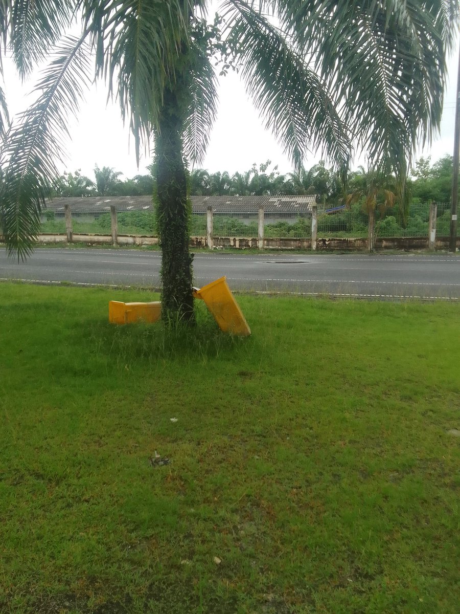ad_xe91776's tweet photo. ฝนตกๆหาควยมาอมสักดุ้นสองดุ้นมีใหมเอ่ยสนามกีฬาม่วง่ามคัฟ https://t.co/rYXZb3rCO9