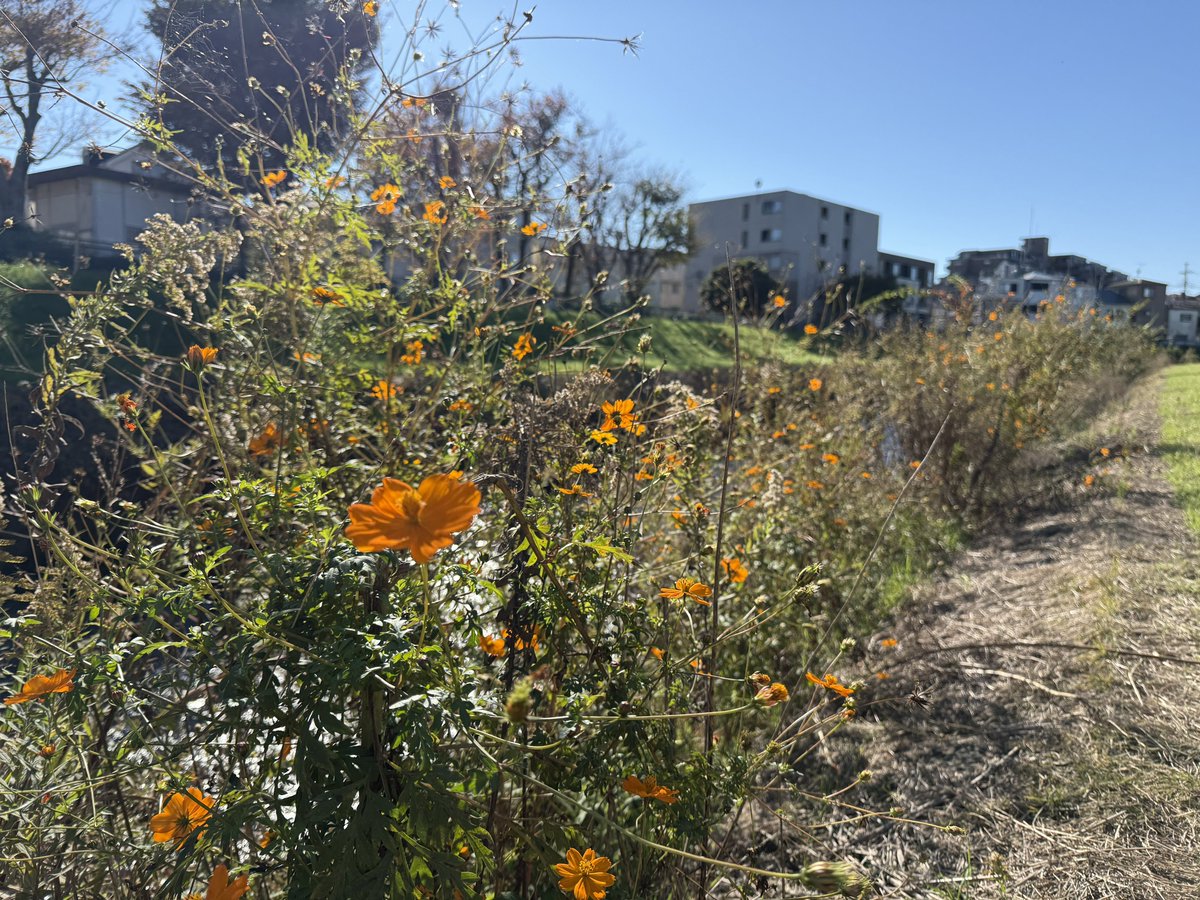 大人葉アンロケ✌️