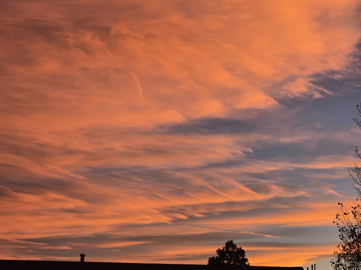 Michelle Storm tweet media