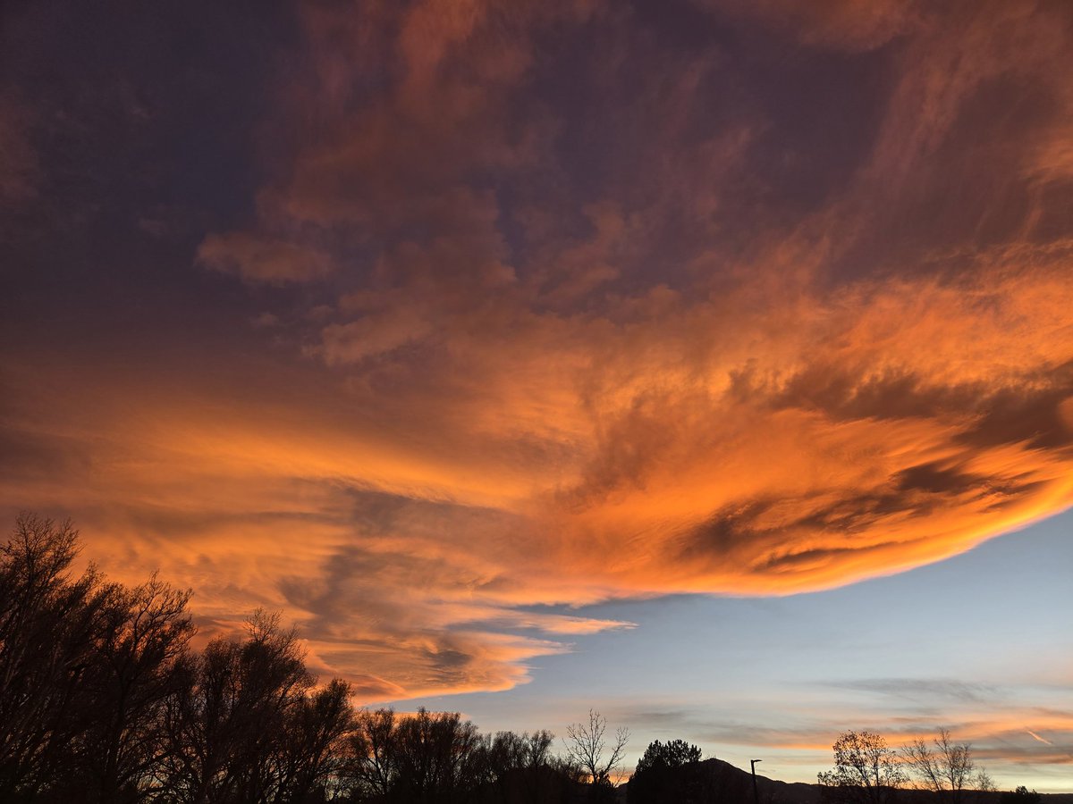 Michelle Storm tweet media