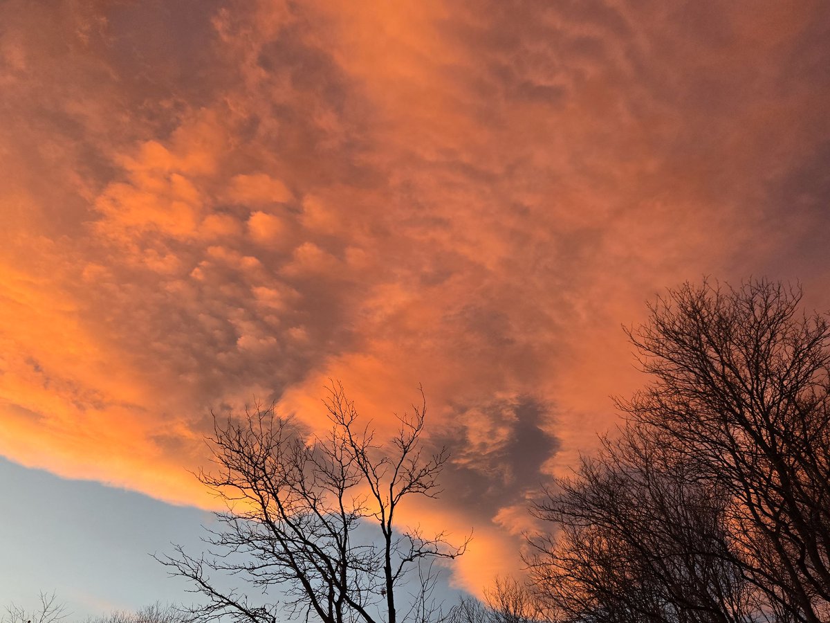 Michelle Storm tweet media