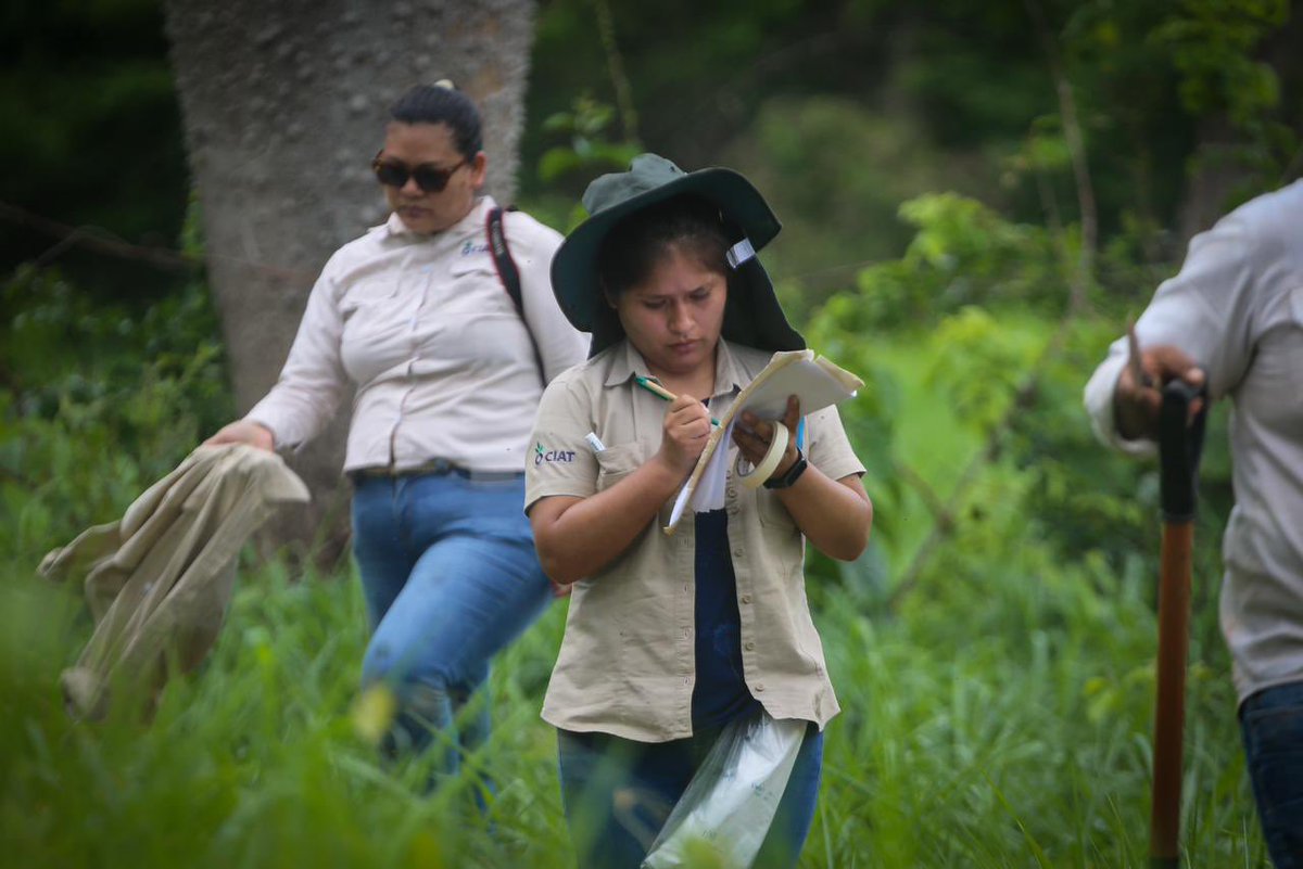 Jorge Mataix-Solera (@mataixsolera) on Twitter photo Bolivia 2024, Soil sampling in fire-affected areas!!! Bolivia 2024, Soil sampling in fire-affected areas!!!