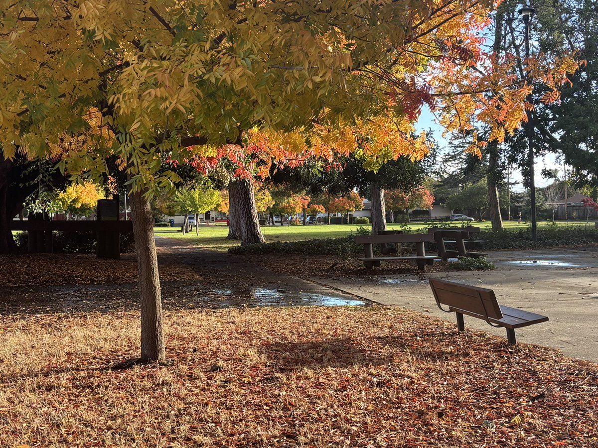 TomFerr83040261's tweet photo. Enjoying the fall colors in Hayward🍁
#hayward https://t.co/9272DsVdVH