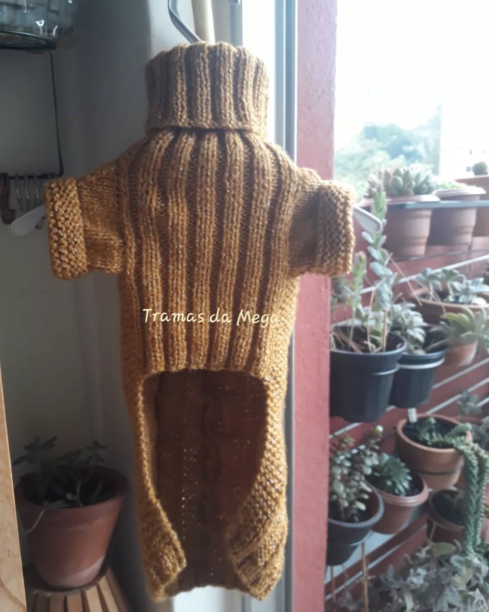 Margarut's tweet image. 👉 Tramas da Megg  🧶👈

Ah, esses olhinhos brancos "onwt"🥰😍🐕
Amei trabalhar com o fio Mais Bebê Soft da @circuloprodutos 

 #roupapet #feitaporMegg #feitacomamor 

Instagran @tramasdamegg