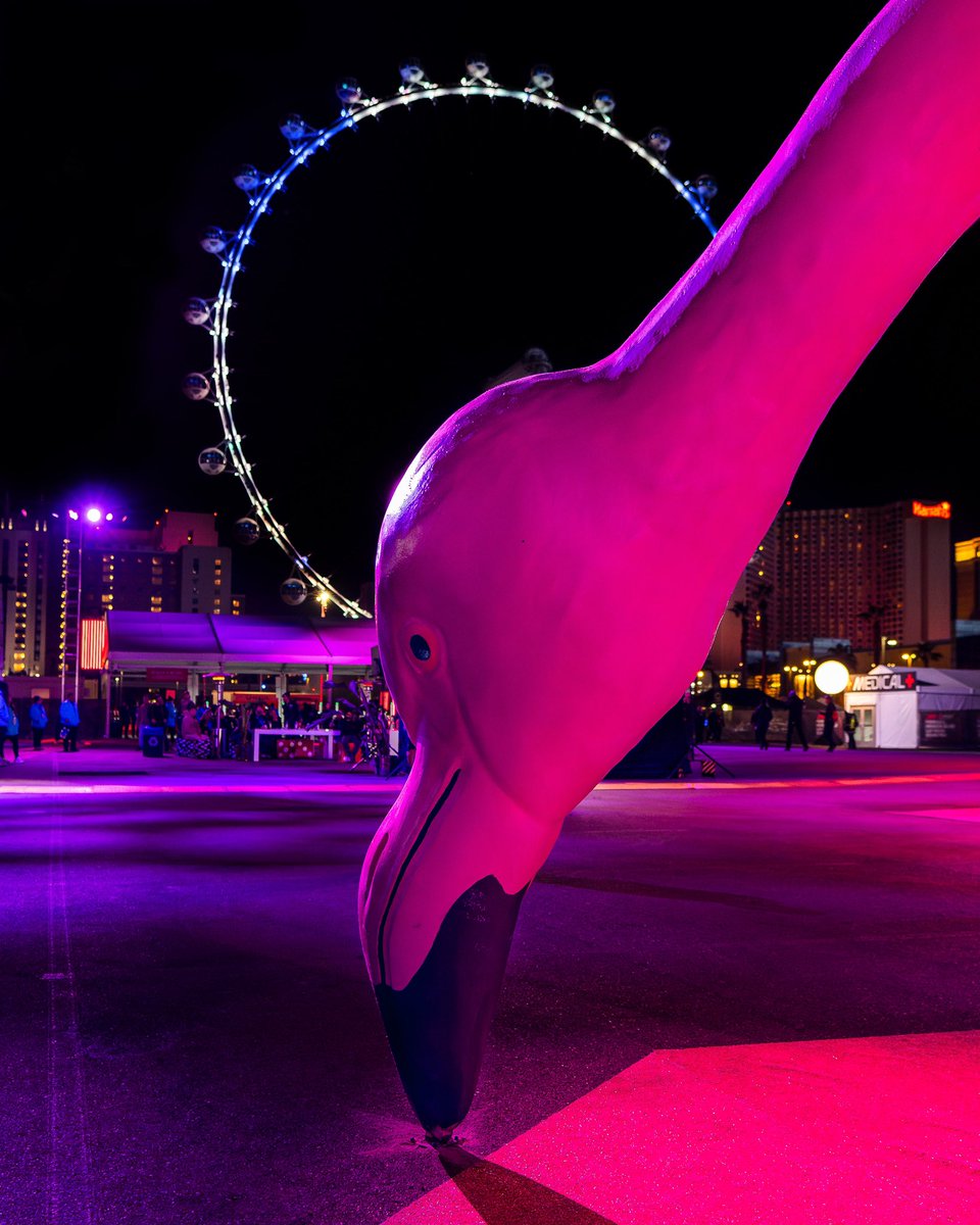 Las Vegas tweet media