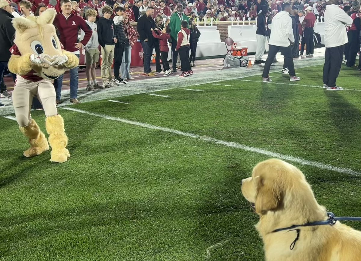 Pregame Pete 🙂‍↔️