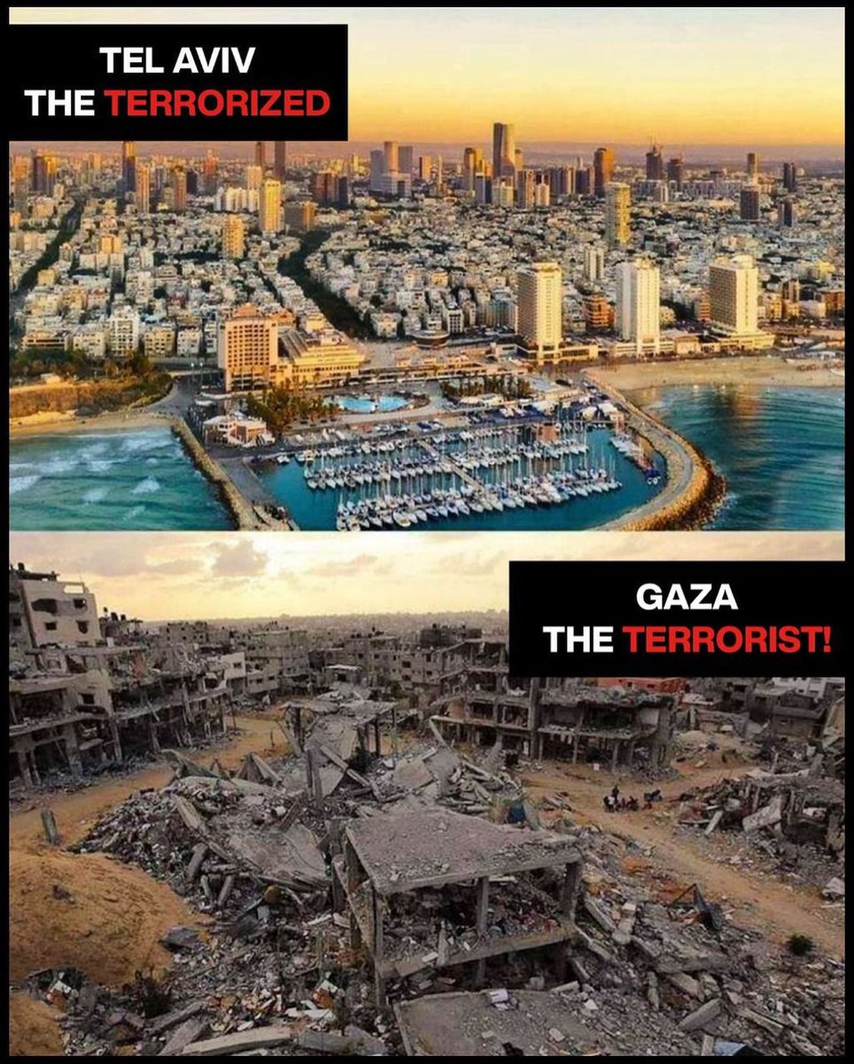 “The party told you to reject the evidence of your eyes and ears. It was their final, most essential command...”

— George Orwell, 1984