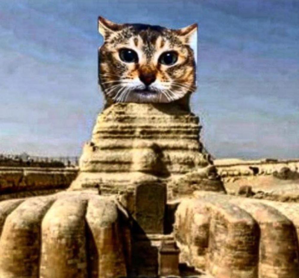 vorp69's tweet photo. i found this in some planet i forgor https://t.co/T51qw8bbyt