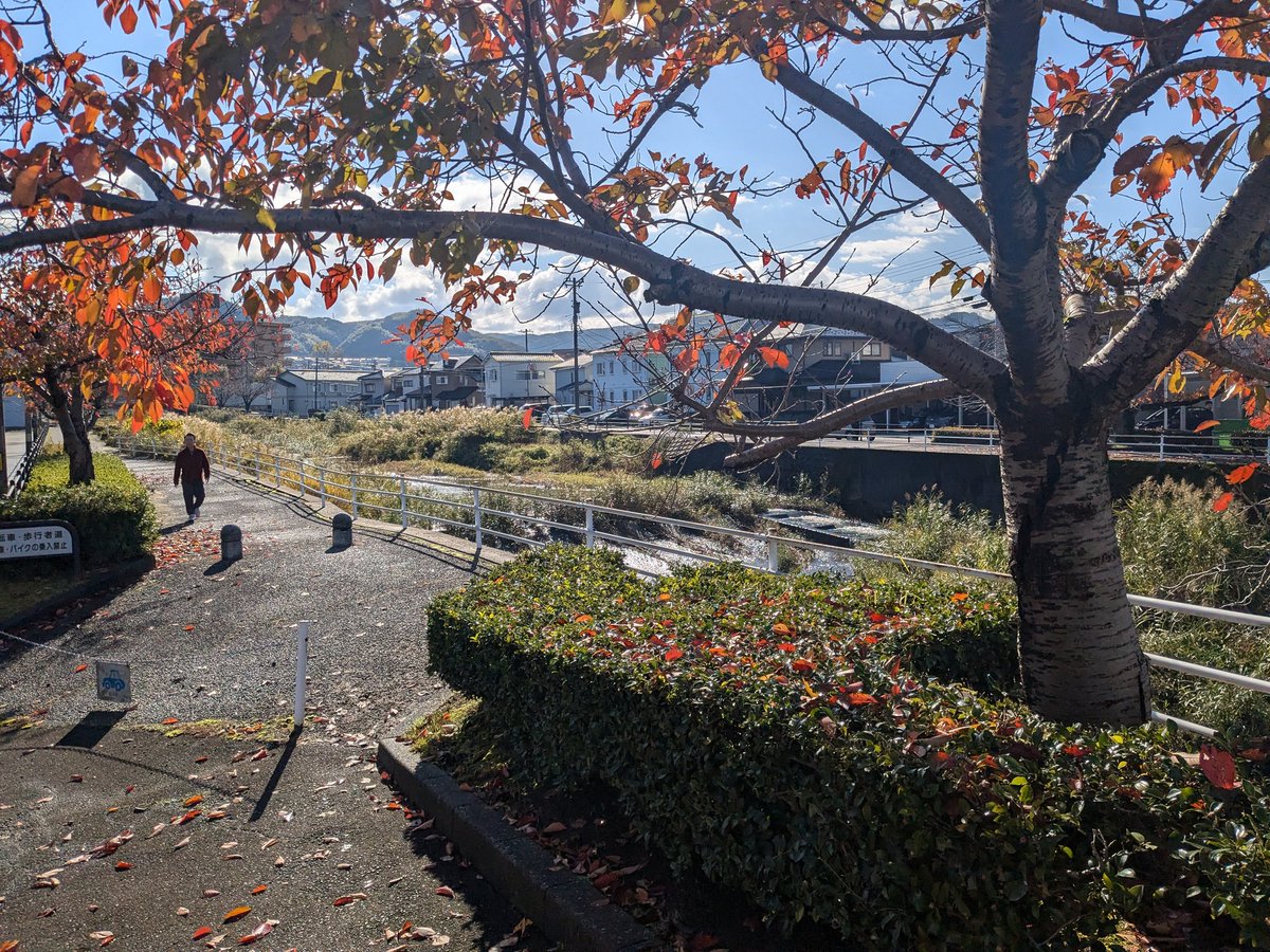 o_hiraku's tweet image. 金沢市中心部を離れ、伏見川沿いを白山に向かって走ります。みんなまだまだ余姚たっぷり。
#andrun
#発酵文化芸術祭