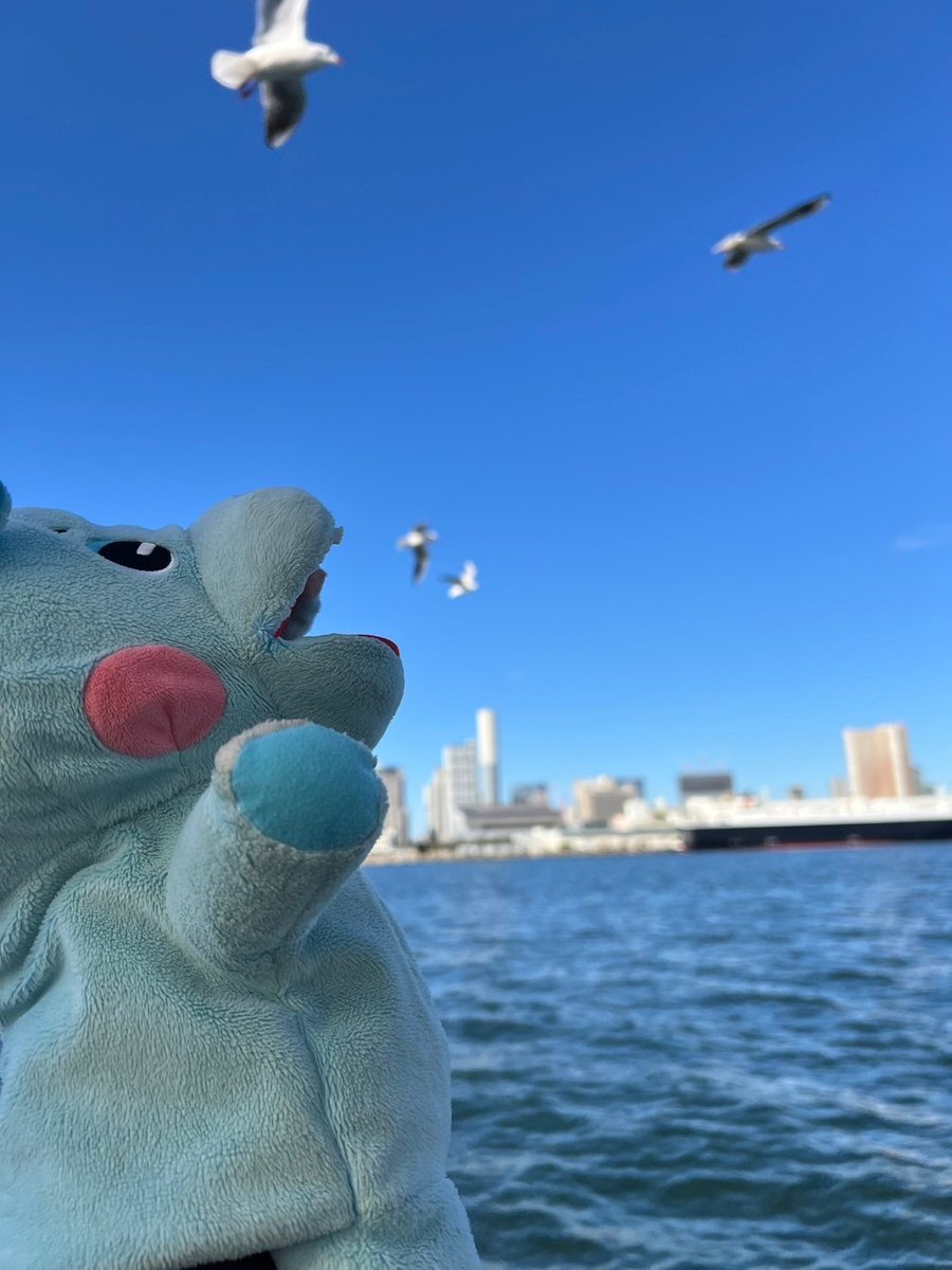 tokyo_kaba's tweet photo. 本日もご予約誠にありがとうございます。
本日も元気に営業しております！

午前中の便は残りお席が少しですが、
午後の便はまだ余裕がございます！

お台場に来られた際はぜひぜひ！！

スタッフ一同ご予約・ご利用
心よりお待ちしております。

#水陸両用バス　#tokyonokaba　#kaba3
#お台場　#東京 https://t.co/Hvv6or5lXK