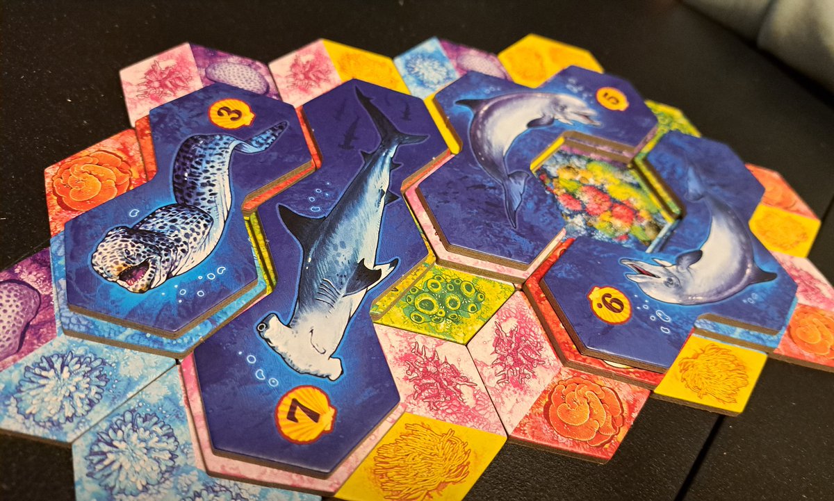 Sibi30015224's tweet photo. Heute gemütlich ein Ökosystem unter Wasser gebaut. #Auqa - ein gemütliches Legespiel mit sehr viel Varianz dank unzähliger Wertungsmöglichkeiten. 🦈🐳🐢🦀🪼🪸 https://t.co/93dkMSnczj