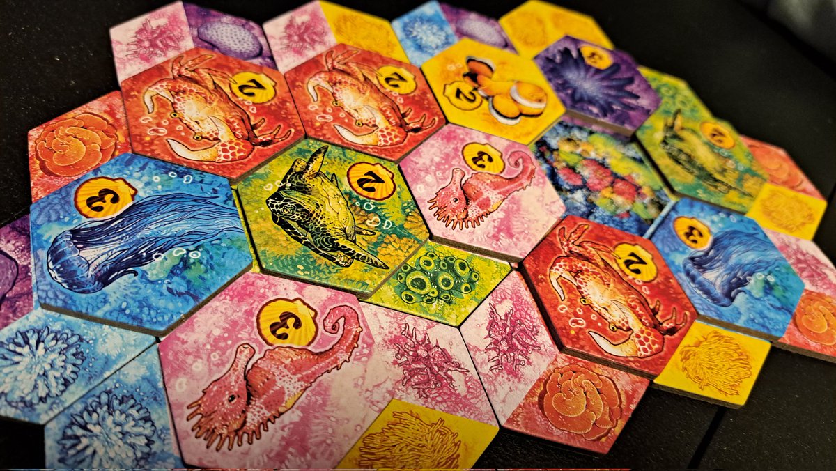 Sibi30015224's tweet photo. Heute gemütlich ein Ökosystem unter Wasser gebaut. #Auqa - ein gemütliches Legespiel mit sehr viel Varianz dank unzähliger Wertungsmöglichkeiten. 🦈🐳🐢🦀🪼🪸 https://t.co/93dkMSnczj
