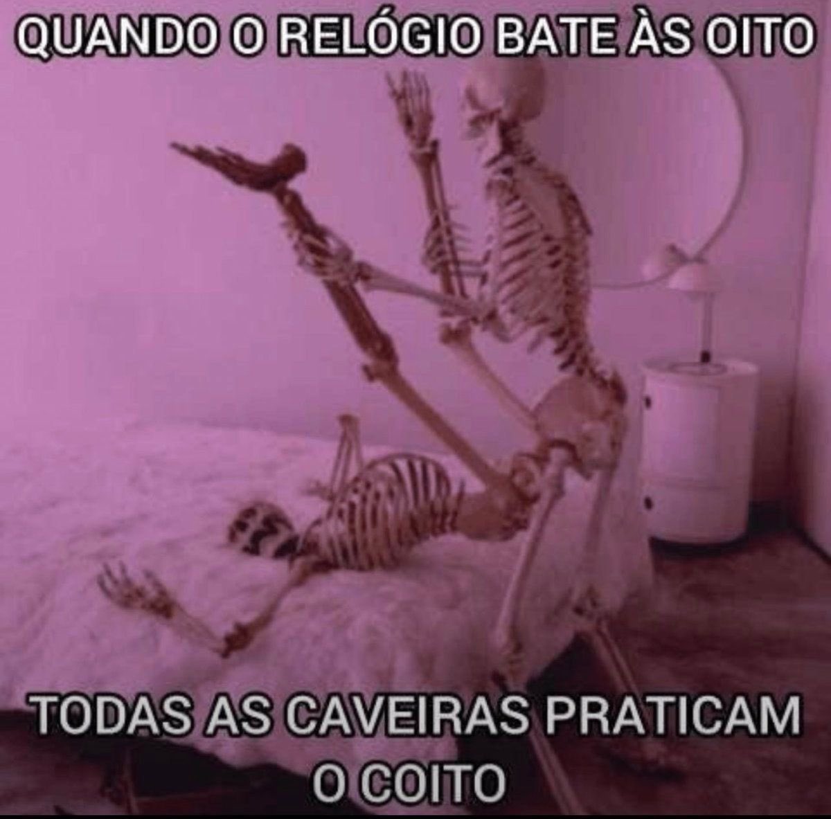 Memes Libidinosos (@memeslibidinoso) on Twitter photo 