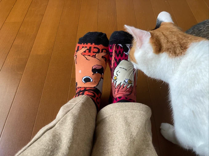 今日はイベントなのでこのソックスを履いてる 